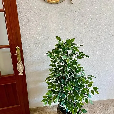 Gatu La Bodega, 3 Dormit, 2 Banos, Piscina Y Parking Apartman *